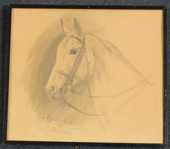 Lucy Kemp-Welch (1869-1958) Study of a horse Belker, 8 x 9.25in.